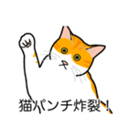 猫あるある（茶白猫／短毛）（個別スタンプ：17）