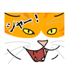 猫あるある（茶白猫／短毛）（個別スタンプ：18）