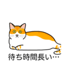 猫あるある（茶白猫／短毛）（個別スタンプ：22）