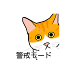 猫あるある（茶白猫／短毛）（個別スタンプ：23）