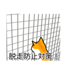 猫あるある（茶白猫／短毛）（個別スタンプ：27）