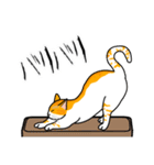 猫あるある（茶白猫／短毛）（個別スタンプ：28）