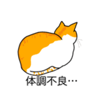 猫あるある（茶白猫／短毛）（個別スタンプ：31）