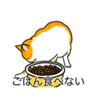 猫あるある（茶白猫／短毛）（個別スタンプ：32）