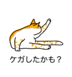 猫あるある（茶白猫／短毛）（個別スタンプ：34）