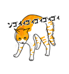 猫あるある（茶白猫／短毛）（個別スタンプ：37）