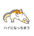 猫あるある（茶白猫／短毛）（個別スタンプ：38）