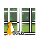 猫あるある（茶白猫／短毛）（個別スタンプ：40）