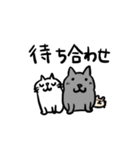 CatChipsの旅とお散歩（個別スタンプ：14）
