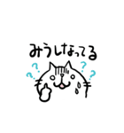 CatChipsの旅とお散歩（個別スタンプ：27）