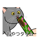 猫あるある（灰色猫／短毛）（個別スタンプ：4）