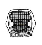 猫あるある（灰色猫／短毛）（個別スタンプ：8）
