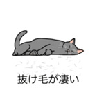 猫あるある（灰色猫／短毛）（個別スタンプ：13）