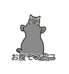 猫あるある（灰色猫／短毛）（個別スタンプ：14）