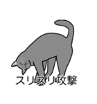 猫あるある（灰色猫／短毛）（個別スタンプ：15）