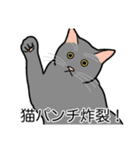 猫あるある（灰色猫／短毛）（個別スタンプ：17）