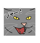 猫あるある（灰色猫／短毛）（個別スタンプ：18）