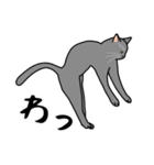 猫あるある（灰色猫／短毛）（個別スタンプ：21）