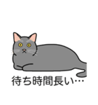 猫あるある（灰色猫／短毛）（個別スタンプ：22）