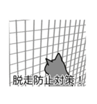 猫あるある（灰色猫／短毛）（個別スタンプ：27）