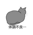 猫あるある（灰色猫／短毛）（個別スタンプ：31）