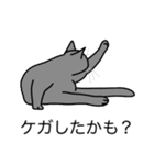 猫あるある（灰色猫／短毛）（個別スタンプ：34）
