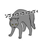 猫あるある（灰色猫／短毛）（個別スタンプ：37）