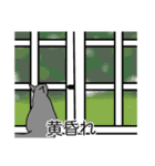 猫あるある（灰色猫／短毛）（個別スタンプ：40）