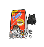 猫あるある（黒猫／短毛）（個別スタンプ：1）