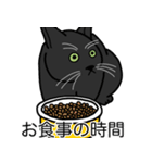 猫あるある（黒猫／短毛）（個別スタンプ：3）