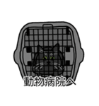 猫あるある（黒猫／短毛）（個別スタンプ：8）