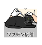猫あるある（黒猫／短毛）（個別スタンプ：9）