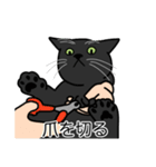 猫あるある（黒猫／短毛）（個別スタンプ：11）