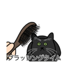 猫あるある（黒猫／短毛）（個別スタンプ：12）