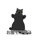 猫あるある（黒猫／短毛）（個別スタンプ：14）