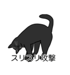 猫あるある（黒猫／短毛）（個別スタンプ：15）