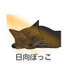 猫あるある（黒猫／短毛）（個別スタンプ：16）