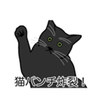 猫あるある（黒猫／短毛）（個別スタンプ：17）