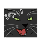 猫あるある（黒猫／短毛）（個別スタンプ：18）