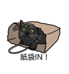 猫あるある（黒猫／短毛）（個別スタンプ：20）