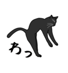 猫あるある（黒猫／短毛）（個別スタンプ：21）