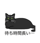 猫あるある（黒猫／短毛）（個別スタンプ：22）