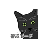 猫あるある（黒猫／短毛）（個別スタンプ：23）