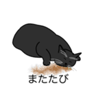 猫あるある（黒猫／短毛）（個別スタンプ：25）