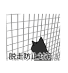 猫あるある（黒猫／短毛）（個別スタンプ：27）