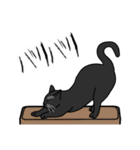 猫あるある（黒猫／短毛）（個別スタンプ：28）