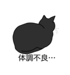 猫あるある（黒猫／短毛）（個別スタンプ：31）