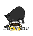 猫あるある（黒猫／短毛）（個別スタンプ：32）