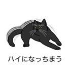 猫あるある（黒猫／短毛）（個別スタンプ：38）