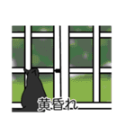 猫あるある（黒猫／短毛）（個別スタンプ：40）